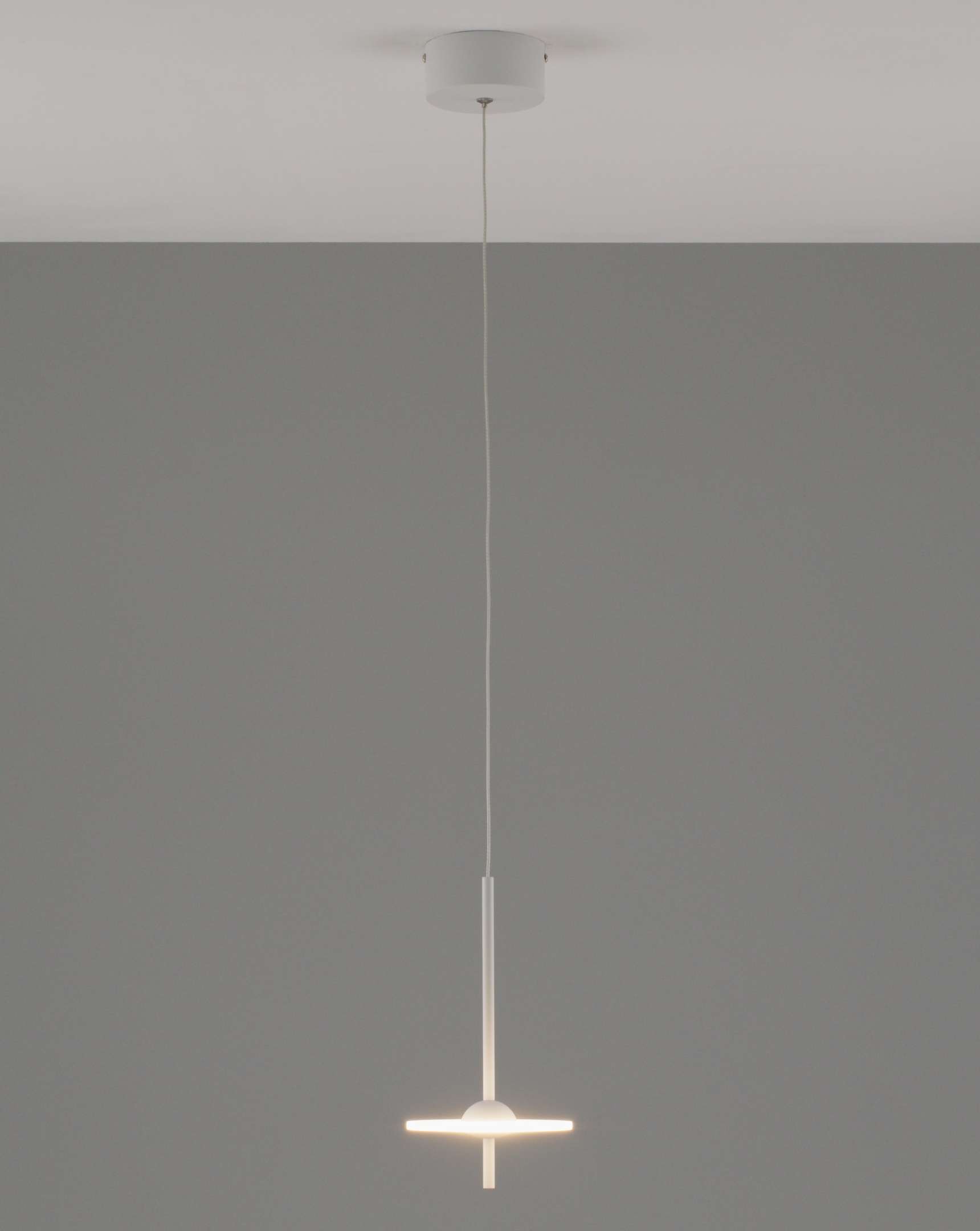 Светильник подвесной светодиодный Moderli V10880-PL Ella