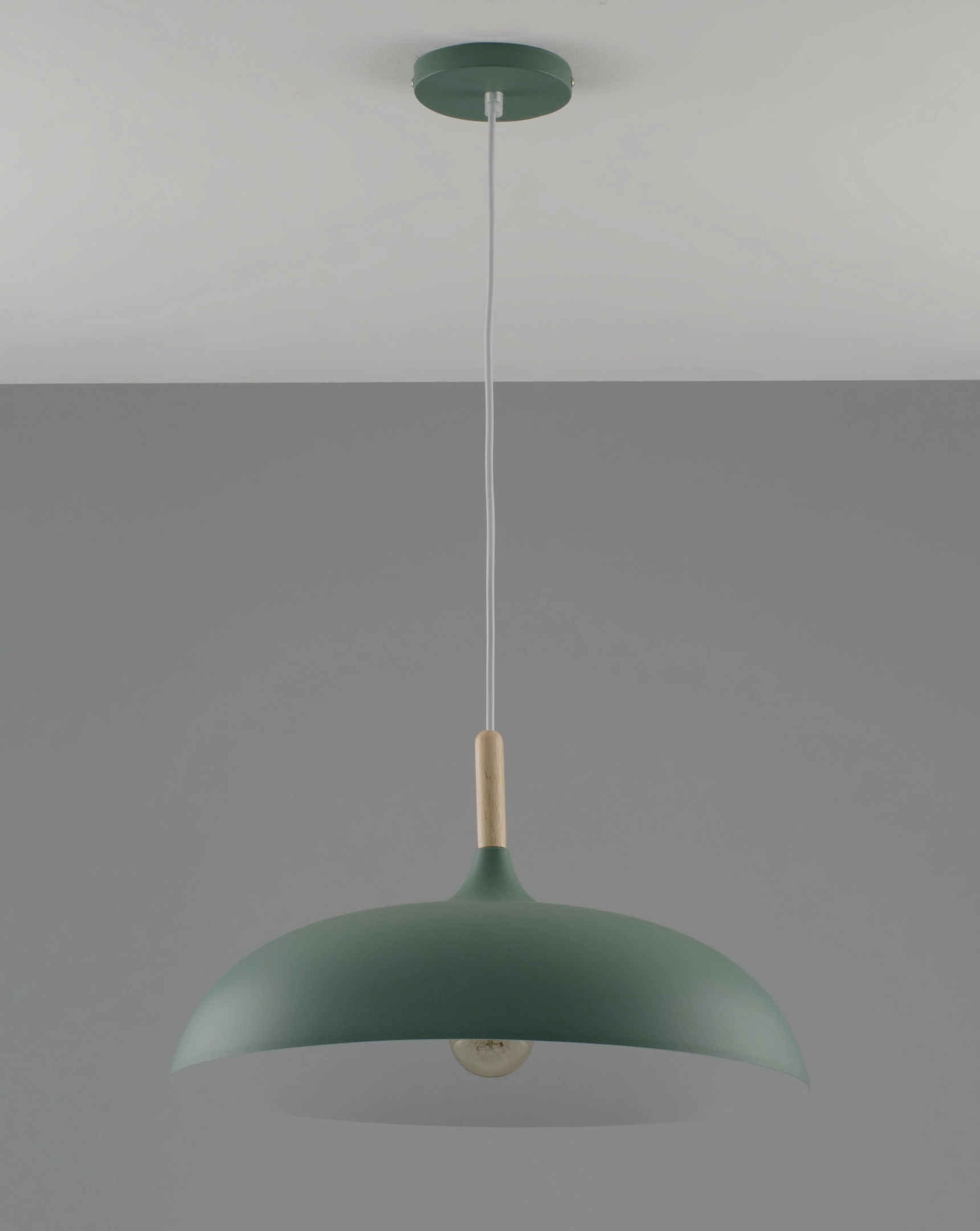Подвесной светильник Moderli V10656-1P Hygo