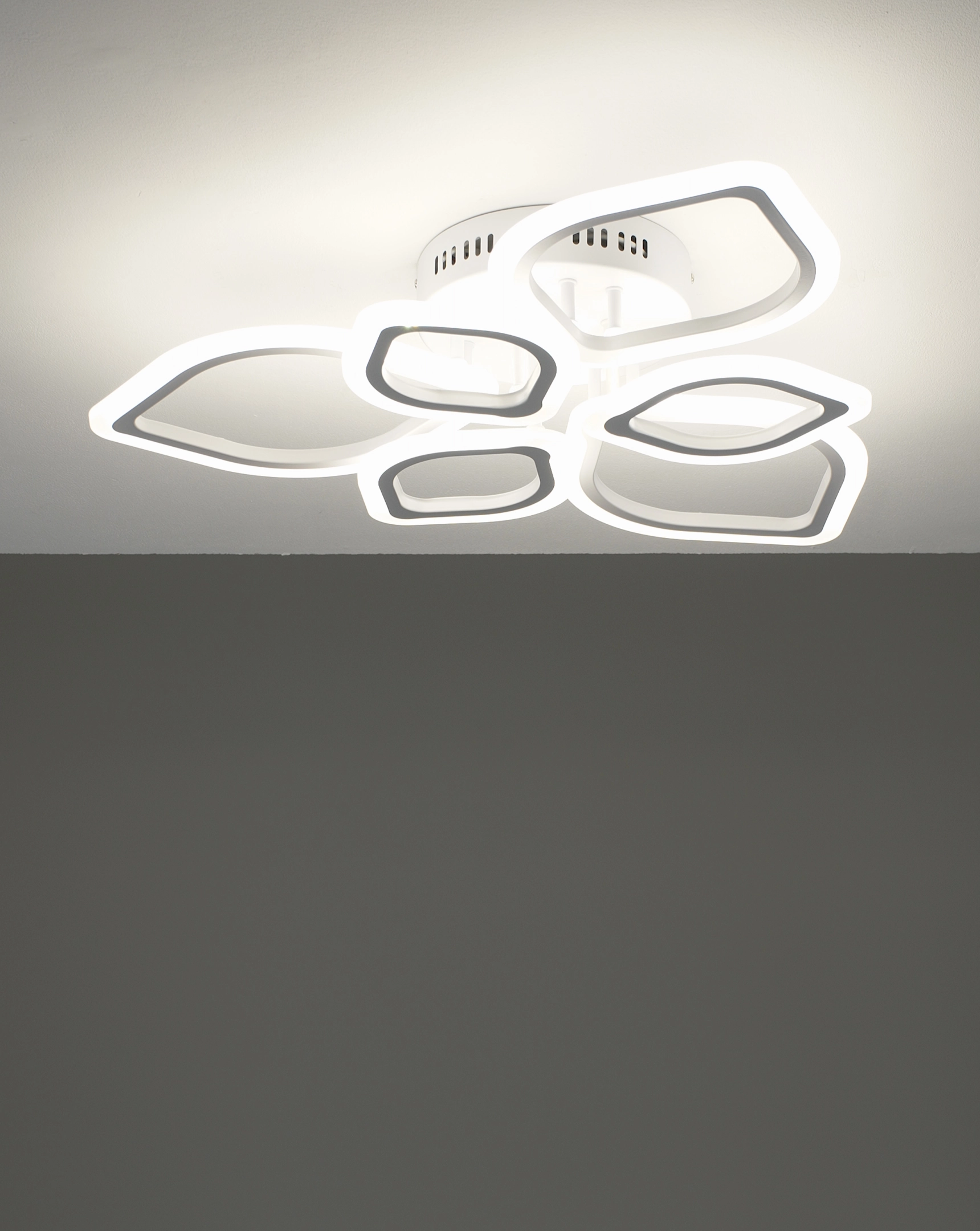 Светильник потолочный светодиодный Moderli V10976-CL Magnolia