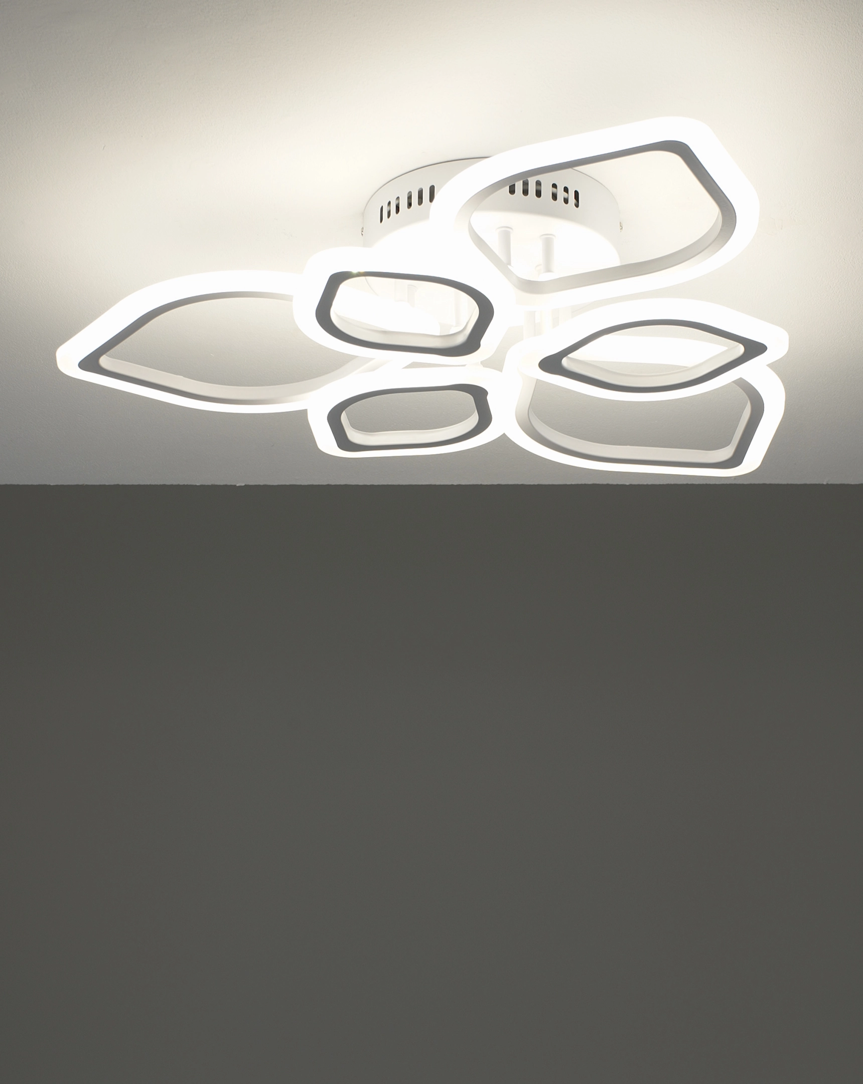 Светильник потолочный светодиодный Moderli V10976-CL Magnolia