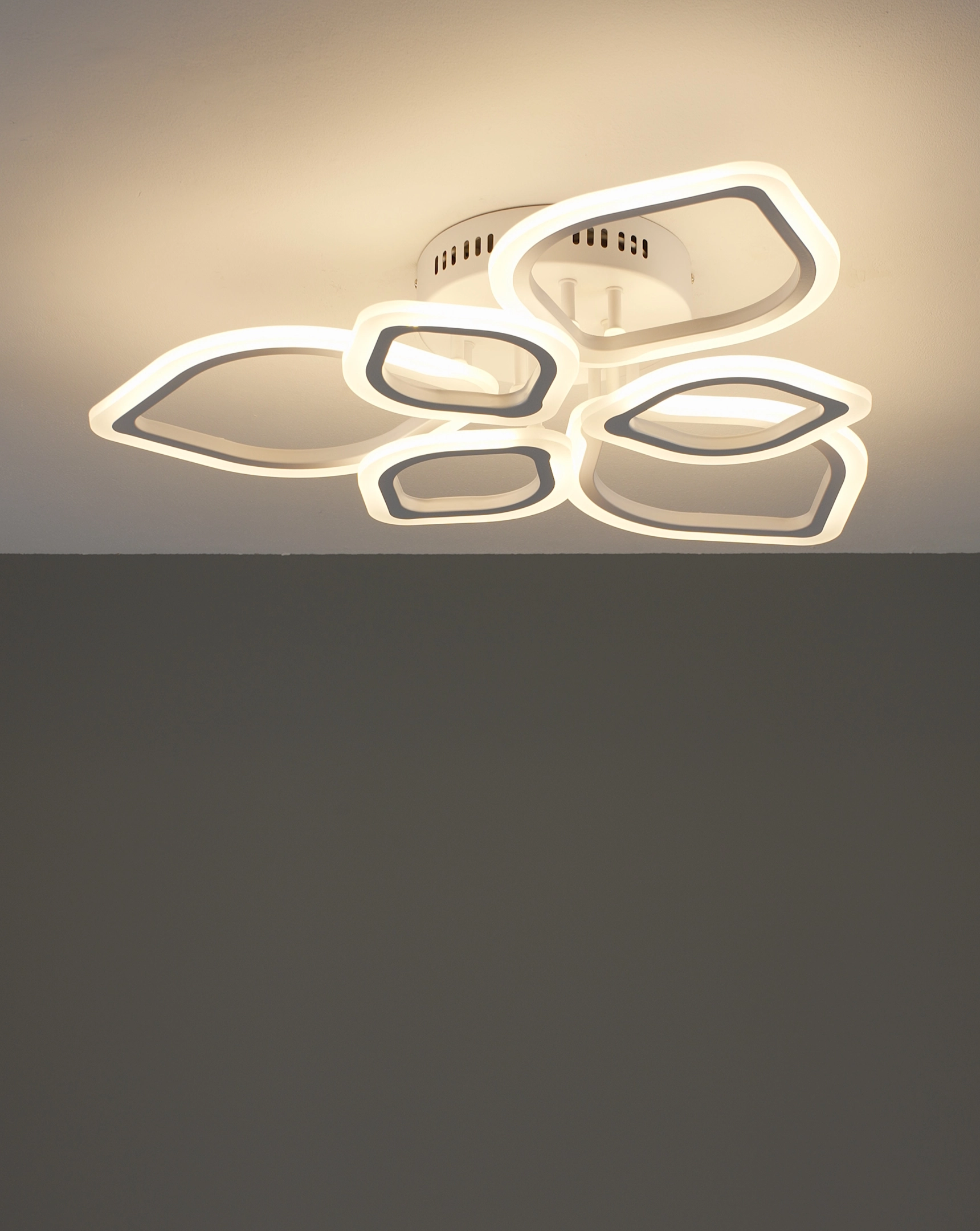 Светильник потолочный светодиодный Moderli V10976-CL Magnolia