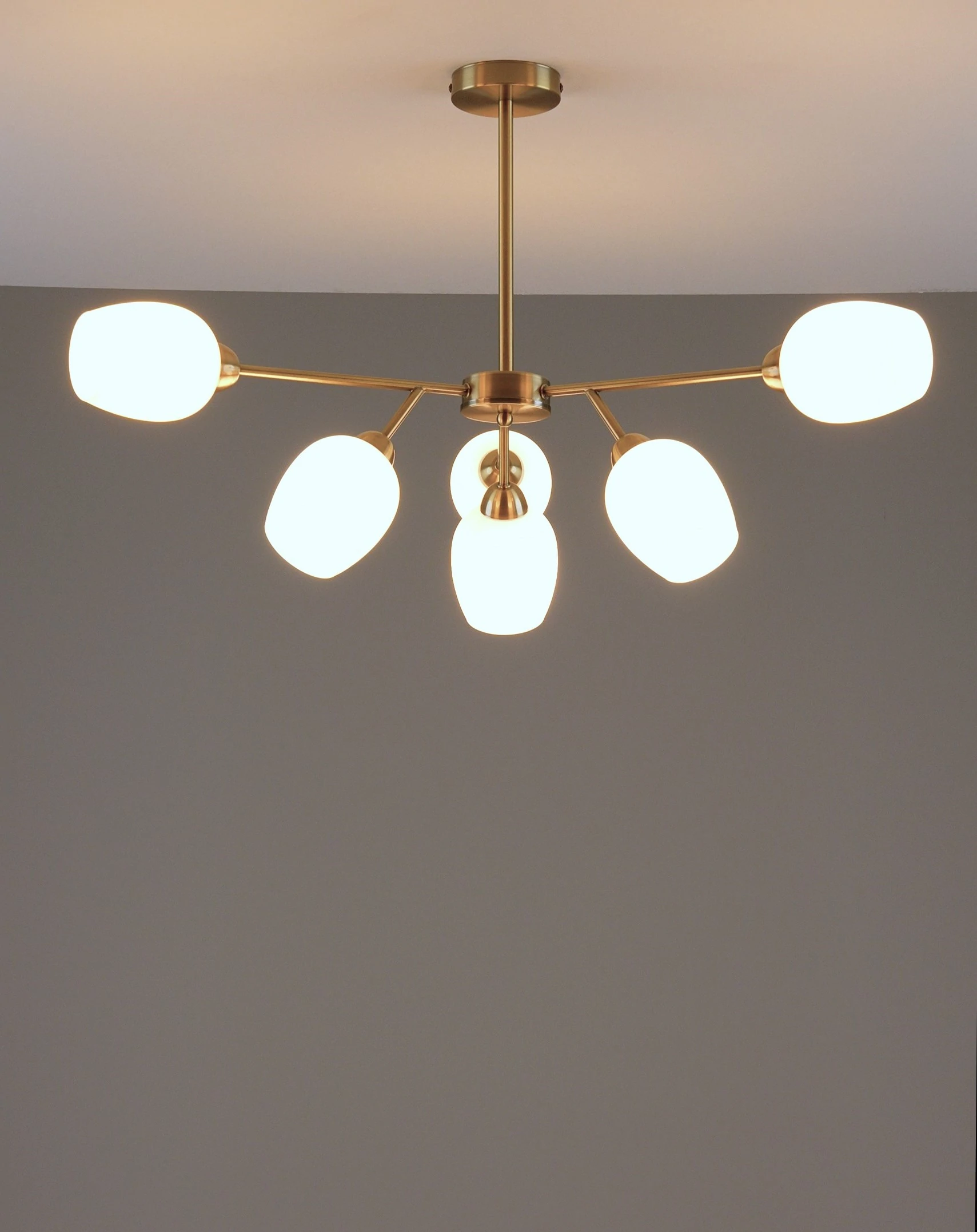 Люстра потолочная Moderli V10820-6C Cassy