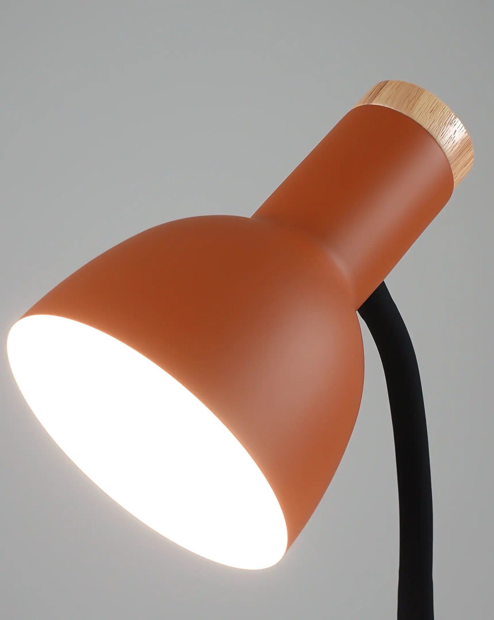 Лампа настольная Moderli V11049-1T Shades