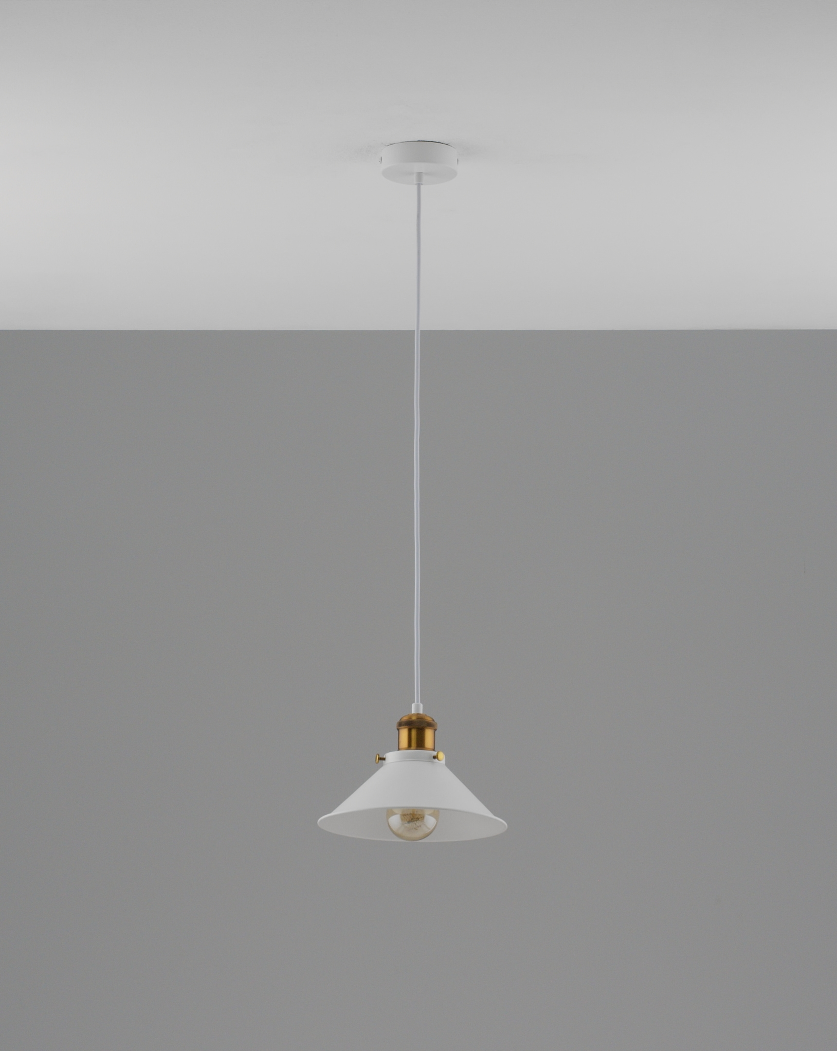 Светильник подвесной Moderli V11423-1P Night