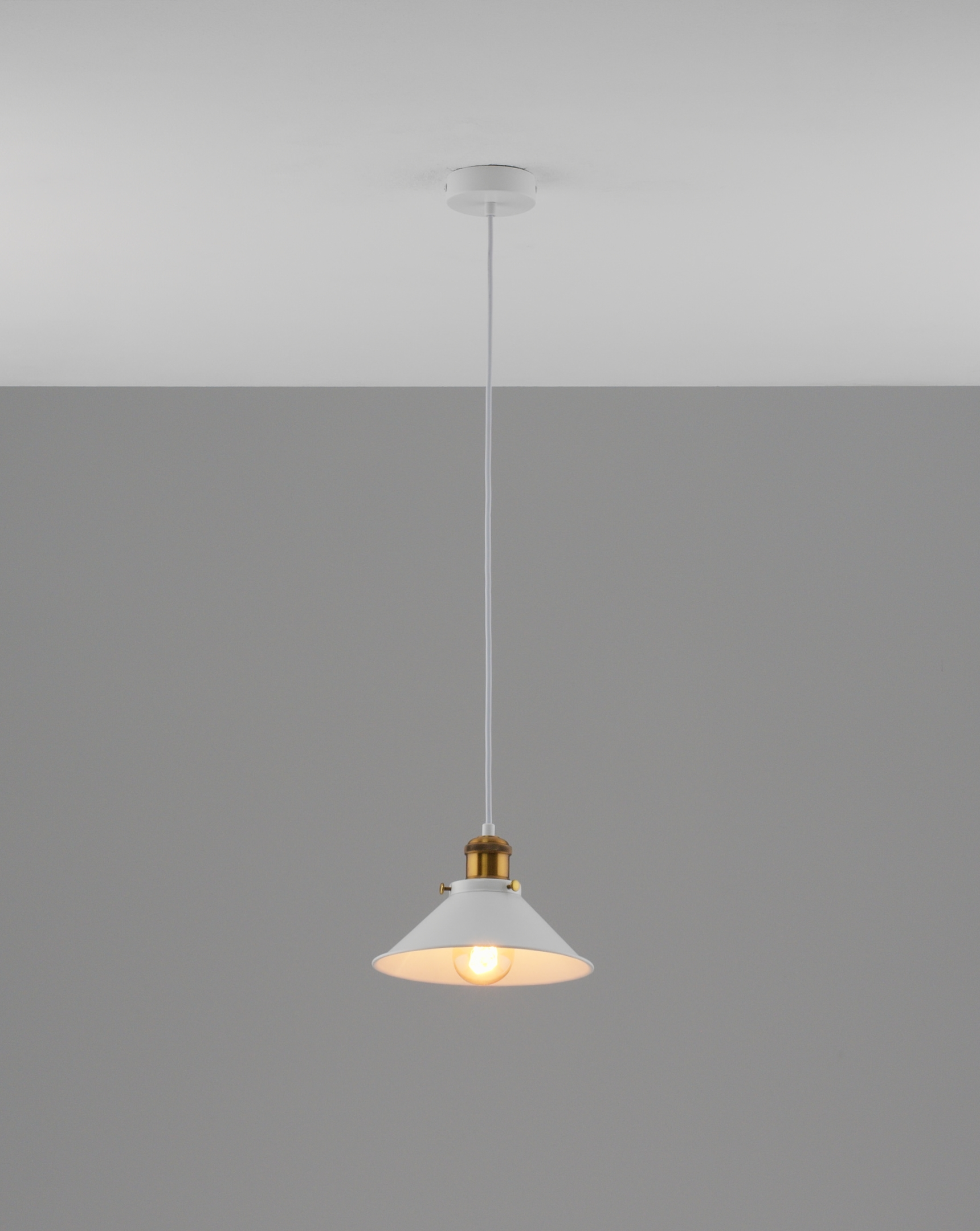 Светильник подвесной Moderli V11423-1P Night