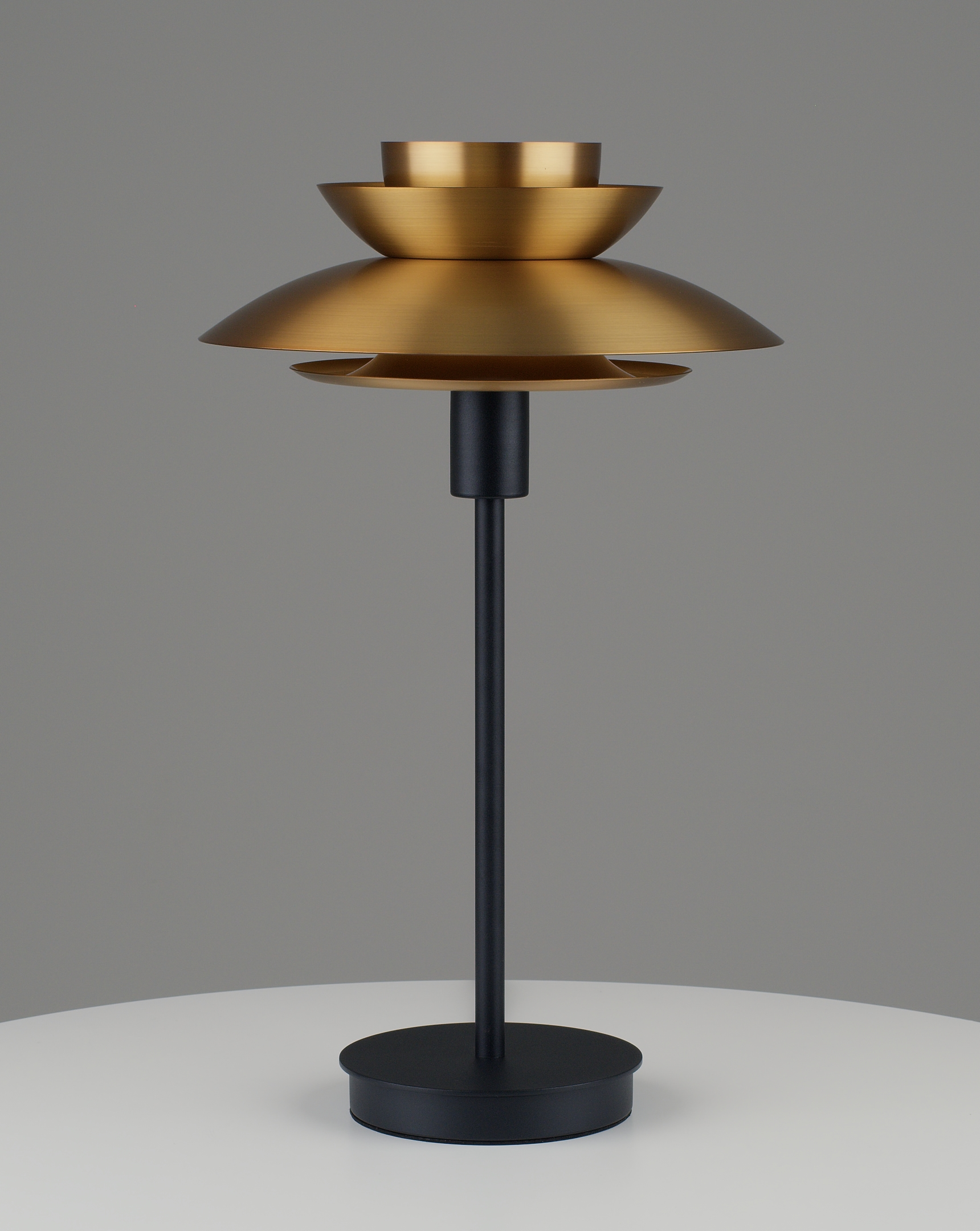 Лампа настольная Moderli V11298-1T Shaggy