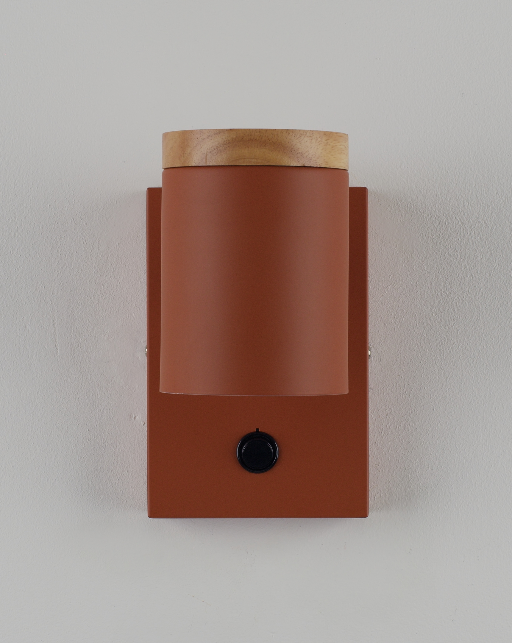 Светильник настенный Moderli V11293-1W Asheswood