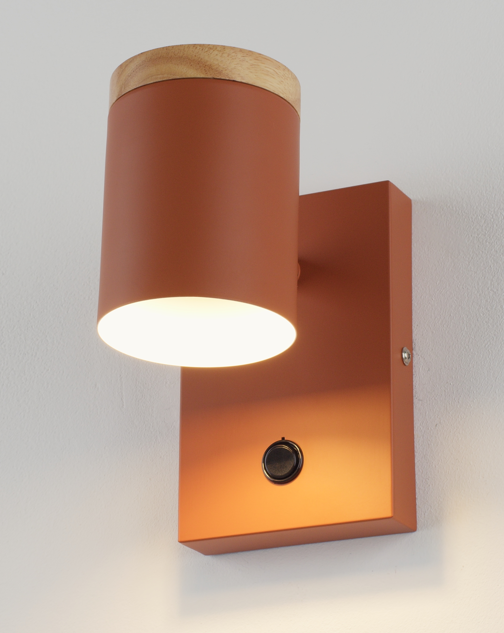 Светильник настенный Moderli V11293-1W Asheswood