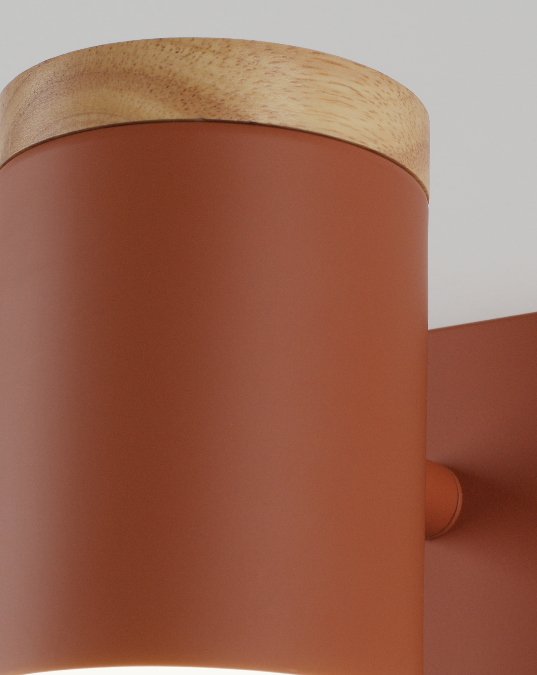 Светильник настенный Moderli V11293-1W Asheswood