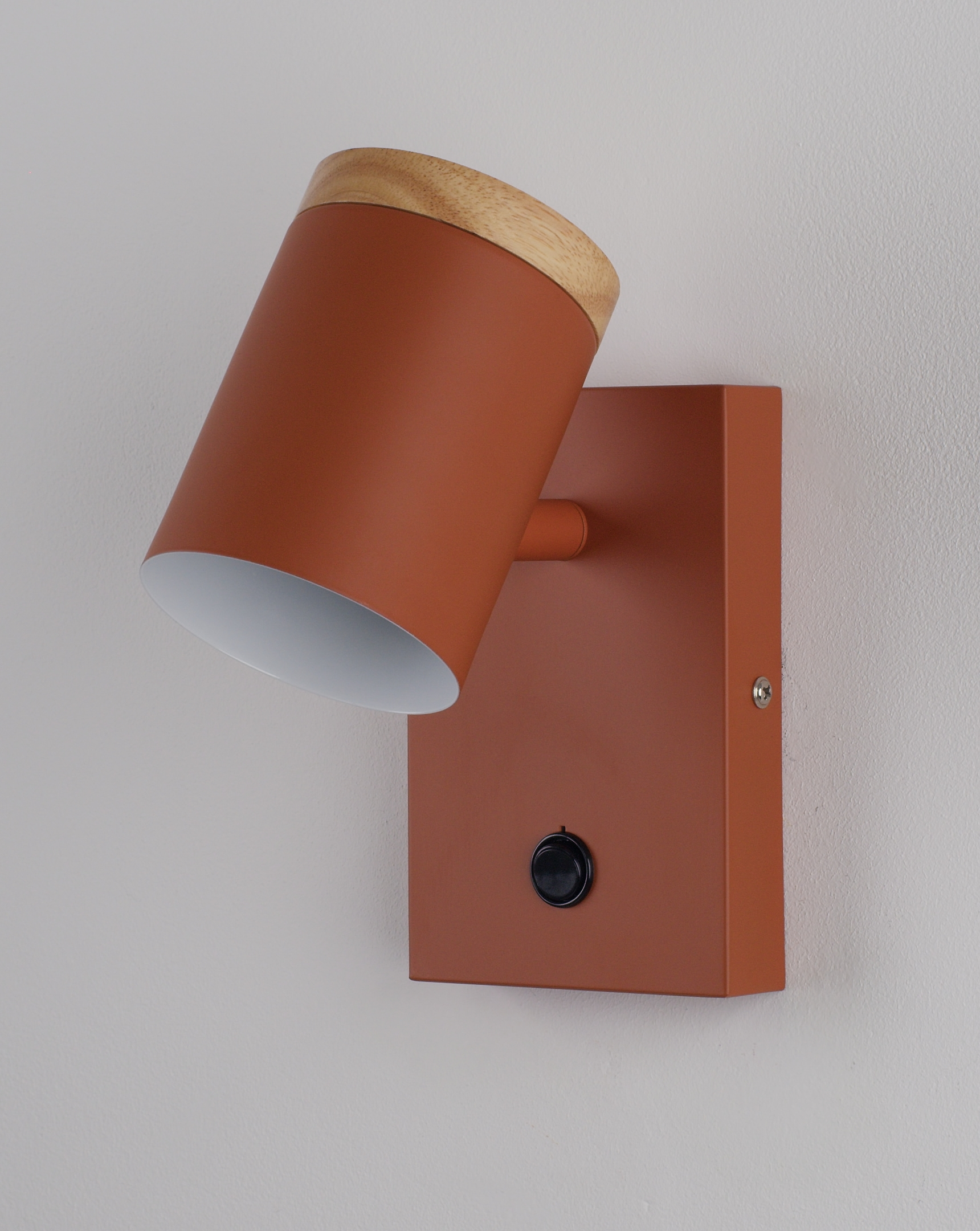 Светильник настенный Moderli V11293-1W Asheswood