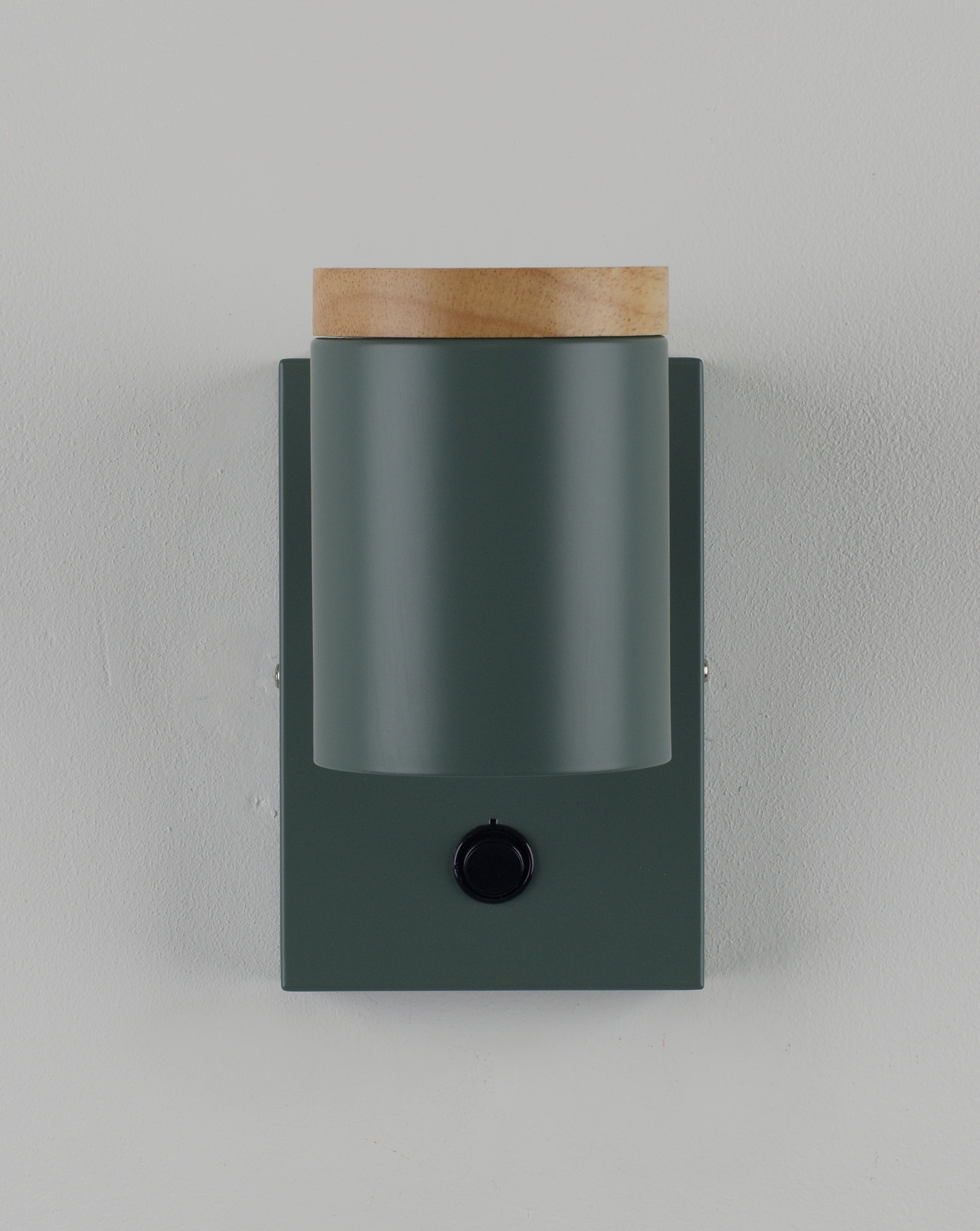 Светильник настенный Moderli V11294-1W Asheswood