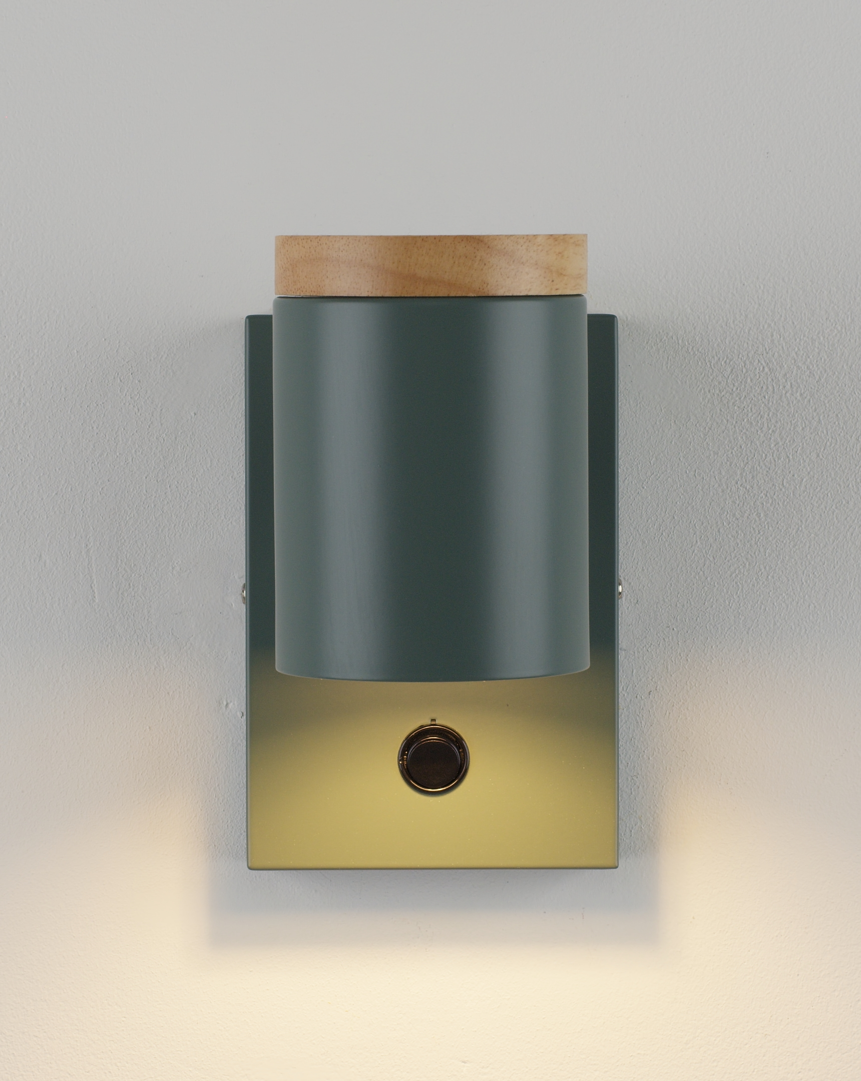 Светильник настенный Moderli V11294-1W Asheswood