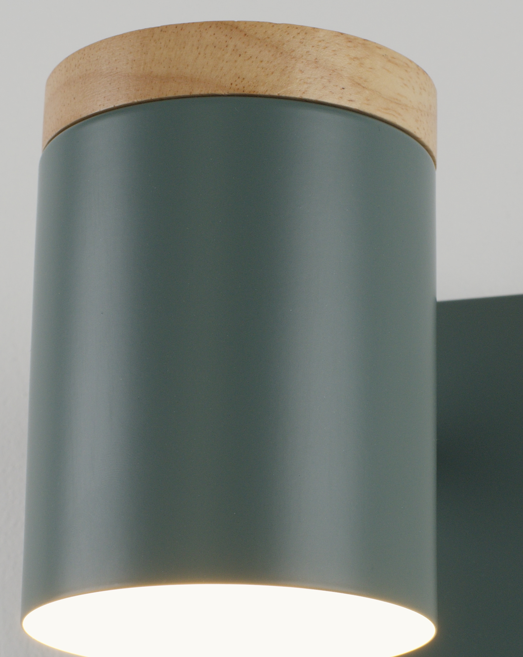 Светильник настенный Moderli V11294-1W Asheswood