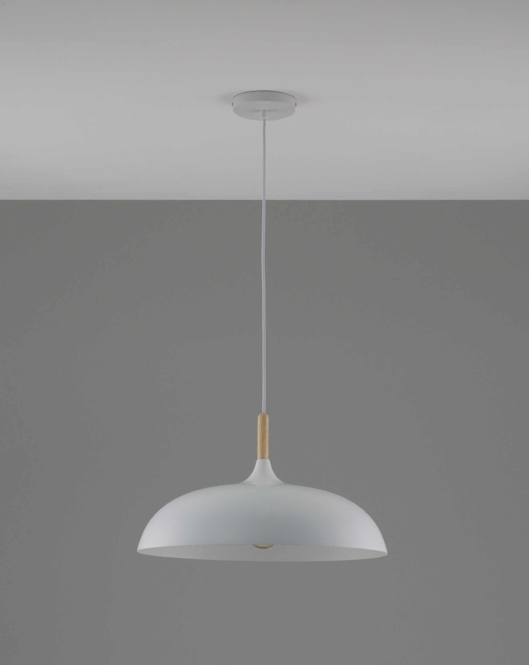 Светильник подвесной Moderli V11447-1P Hygo