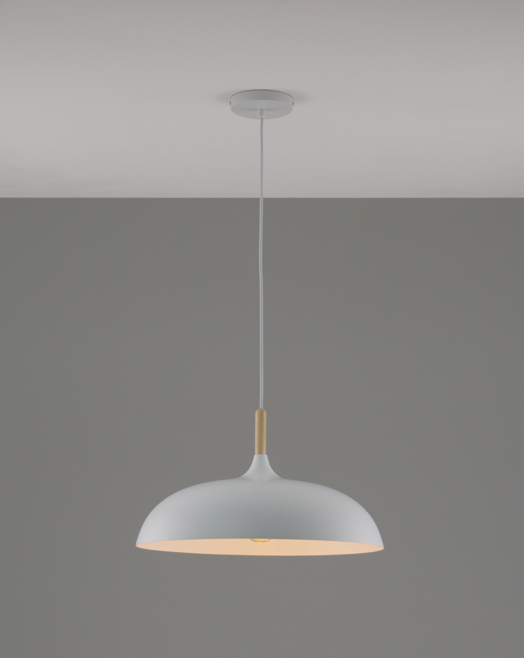 Светильник подвесной Moderli V11447-1P Hygo