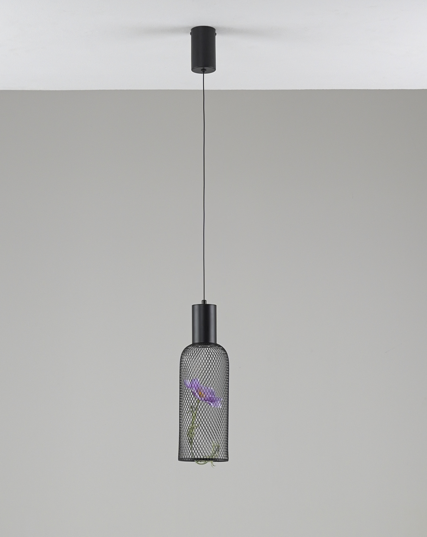 Светильник подвесной светодиодный Moderli V11873-PL Ophelia