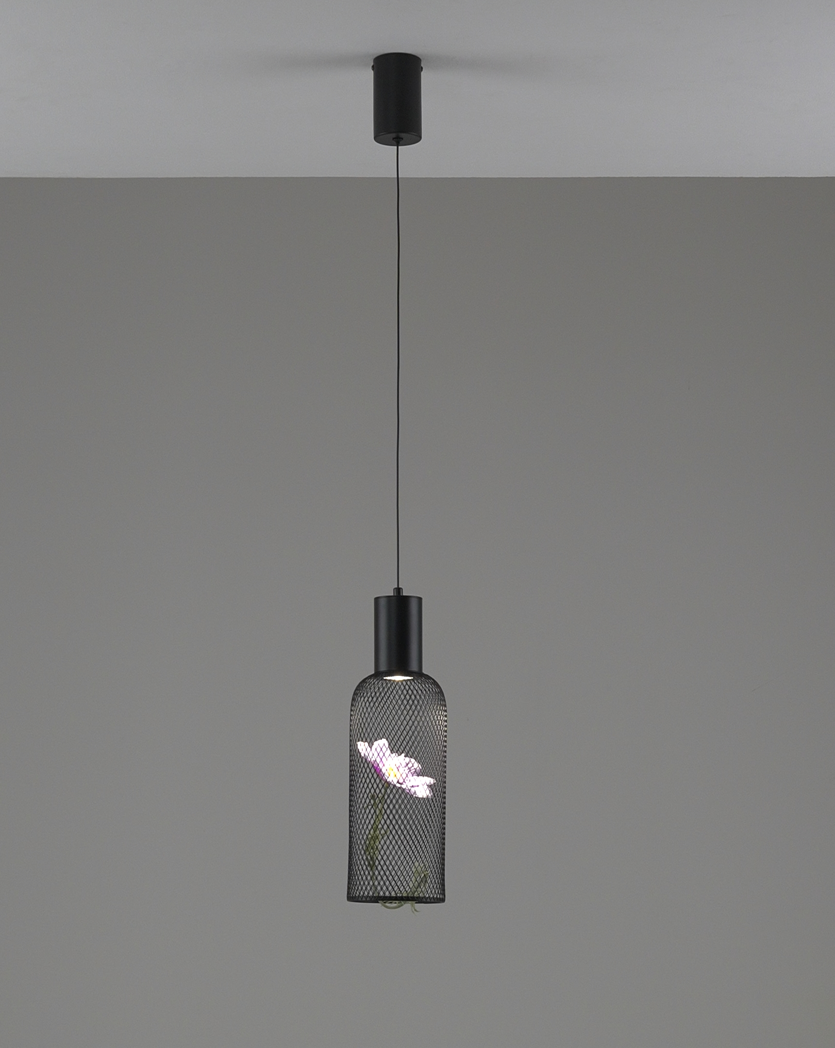 Светильник подвесной светодиодный Moderli V11873-PL Ophelia