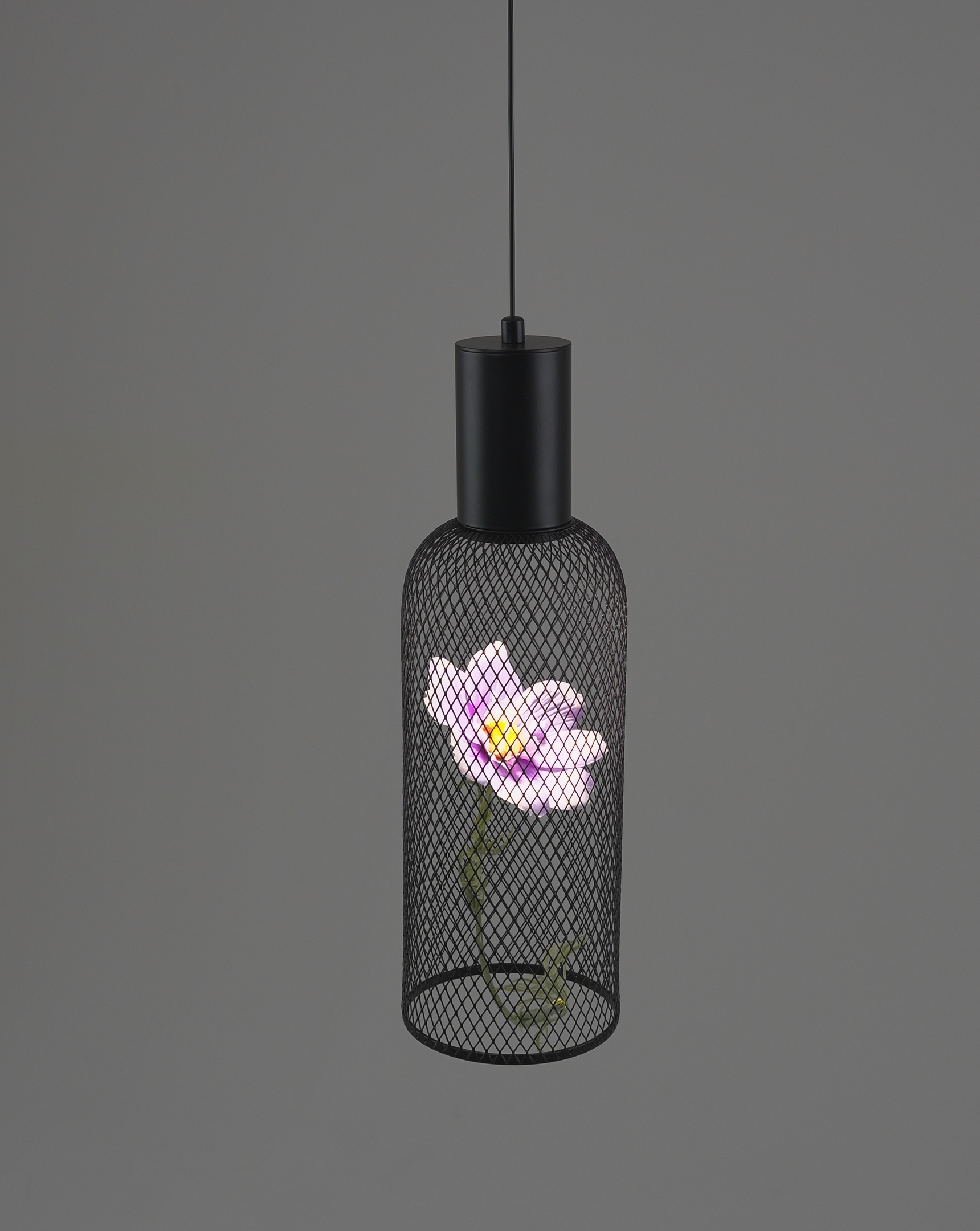 Светильник подвесной светодиодный Moderli V11873-PL Ophelia