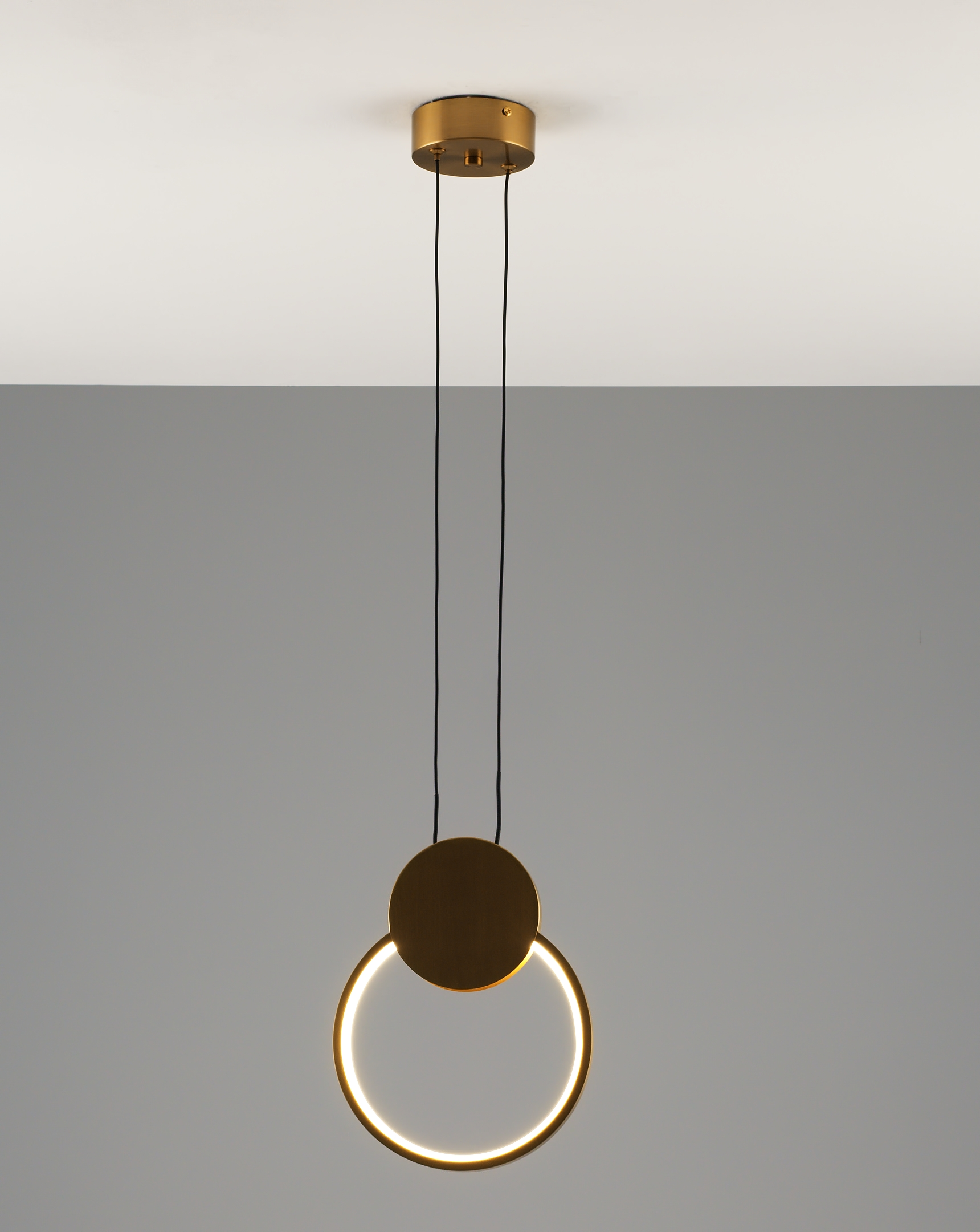 Светильник подвесной светодиодный Moderli V11498-PL Store