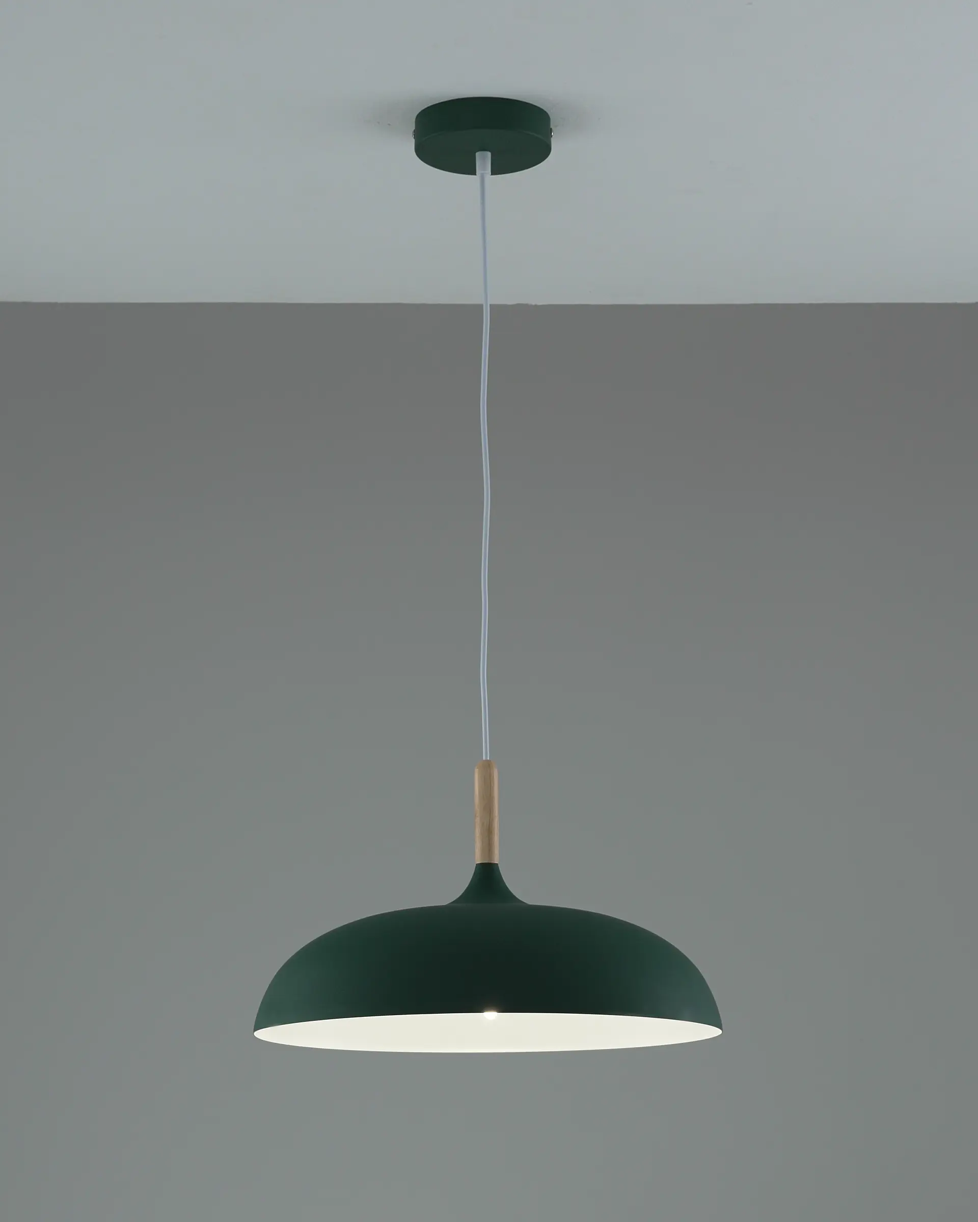 Светильник подвесной Moderli V11804-1P Hygo