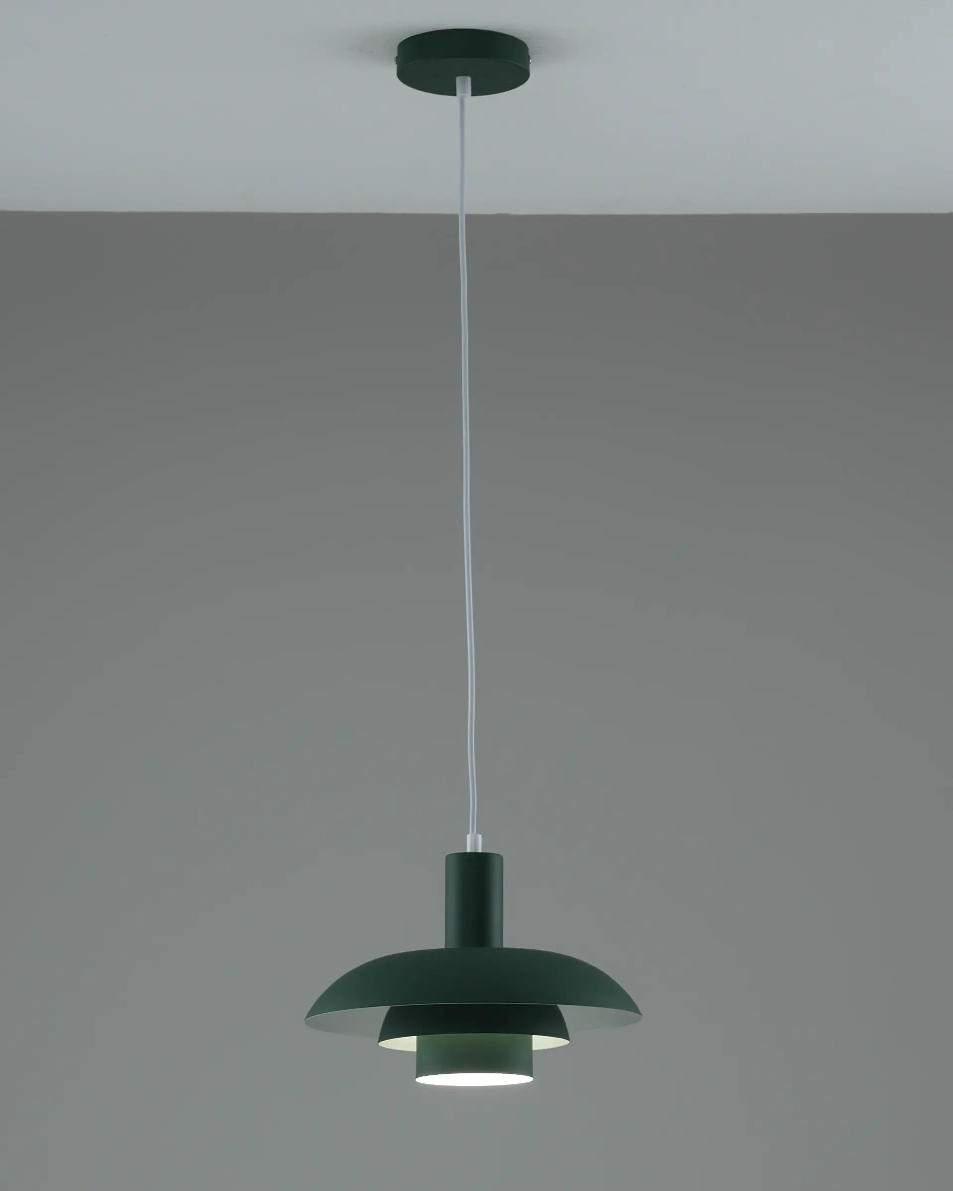 Светильник подвесной Moderli V11806-1P Pescara