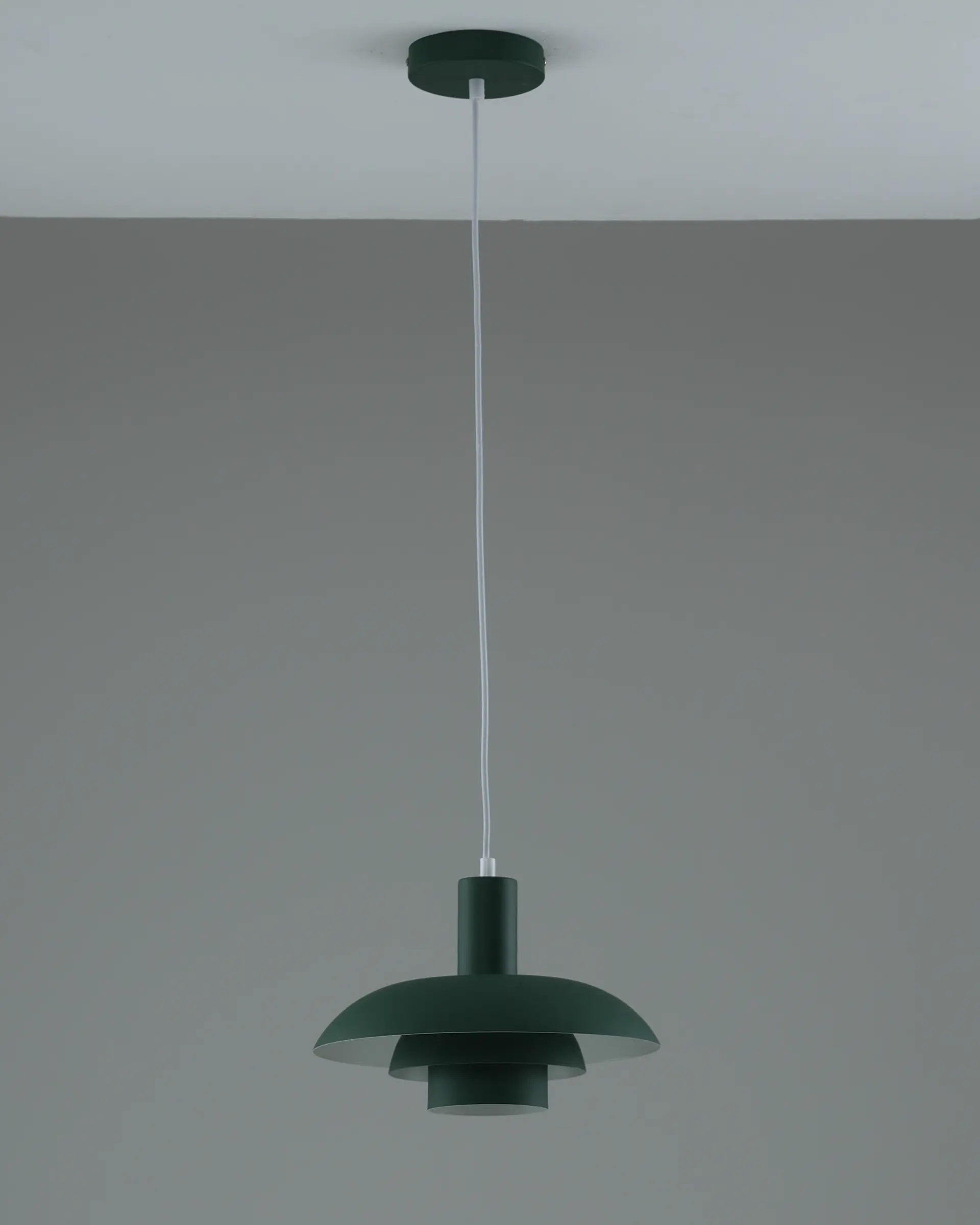 Светильник подвесной Moderli V11806-1P Pescara