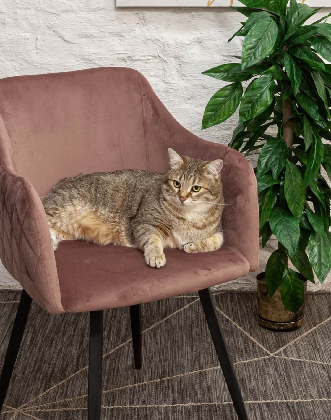 Стул Ника вращающийся