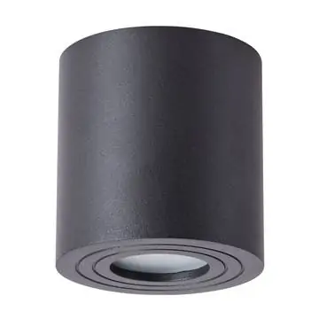Потолочный светильник Arte Lamp A1460PL-1BK Galopin