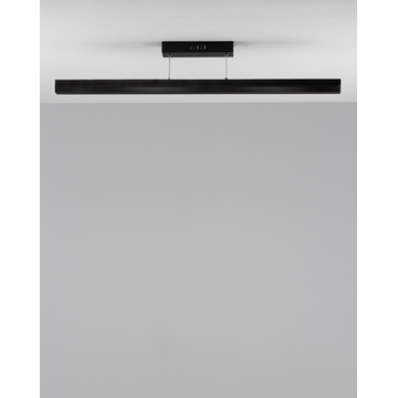 Подвесной светильник Moderli V2721-PL Elena