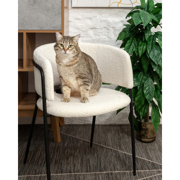 Стул Нэлли ткань букле белый