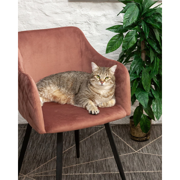 Стул Ника вращающийся велюр пыльно-розовый