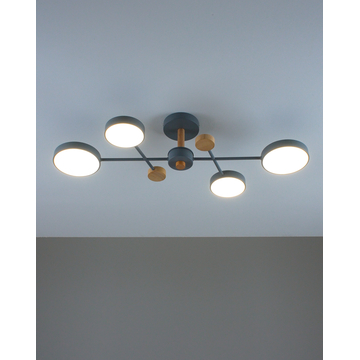 Светильник потолочный светодиодный Moderli V10972-CL Scandi