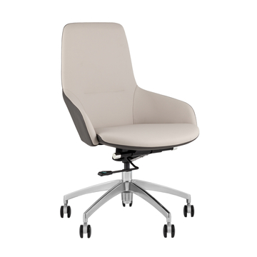 Кресло офисное TopChairs Soulo бежевый, серый