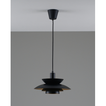 Светильник подвесной Moderli V11303-1P Shaggy