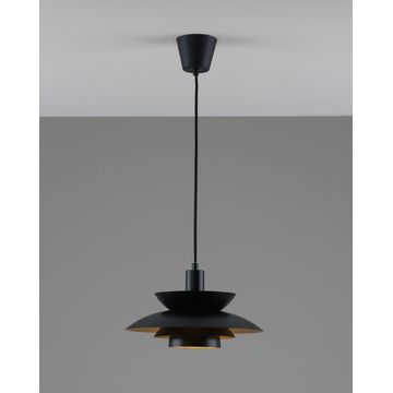 Светильник подвесной Moderli V11303-1P Shaggy