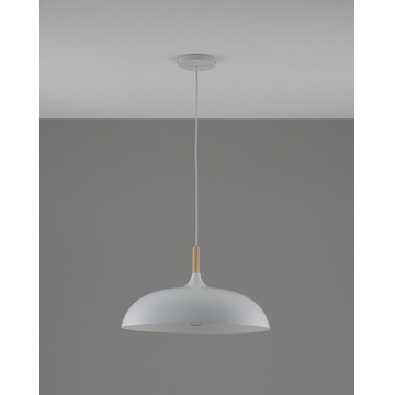 Светильник подвесной Moderli V11447-1P Hygo