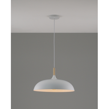 Светильник подвесной Moderli V11447-1P Hygo