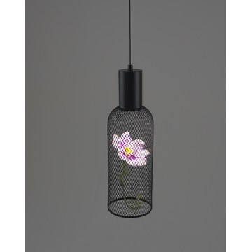 Светильник подвесной светодиодный Moderli V11873-PL Ophelia