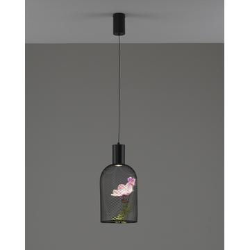 Светильник подвесной светодиодный Moderli V11874-PL Ophelia