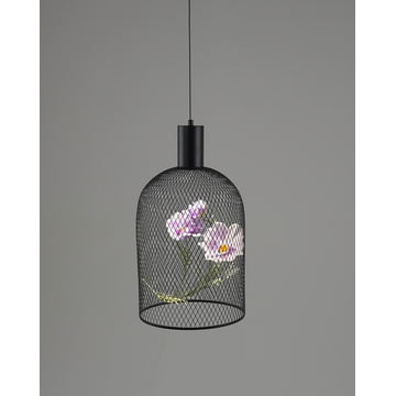 Светильник подвесной светодиодный Moderli V11875-PL Ophelia