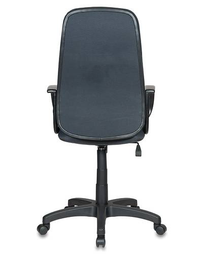 Кресло руководителя Бюрократ CH-808AXSN/TW-12 серый TW-12