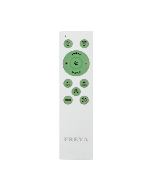 Потолочный светильник Freya - FR10013CL-L24W