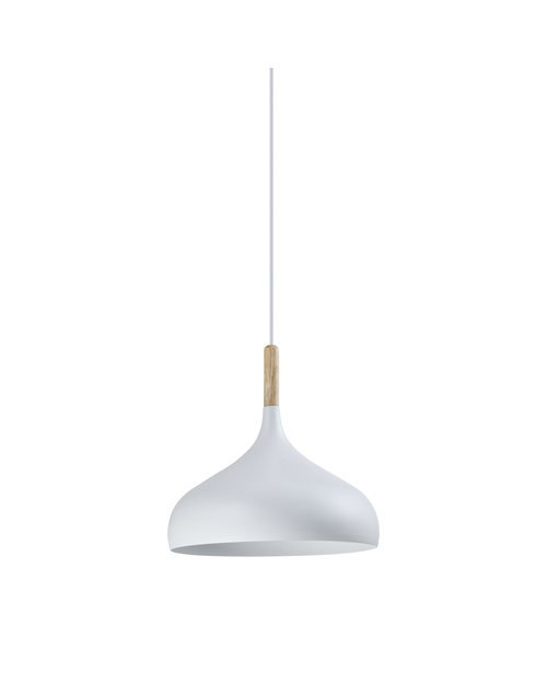 Светильник подвесной Moderli V11439-1P Eline