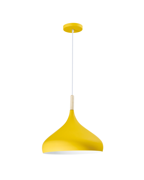 Светильник подвесной Moderli V11442-1P Eline