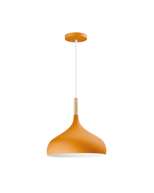 Светильник подвесной Moderli V11443-1P Eline