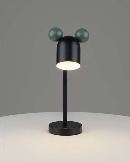 Лампа настольная Moderli V11276-1T Mykke