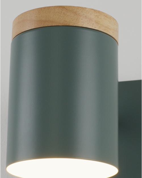 Светильник настенный Moderli V11294-1W Asheswood