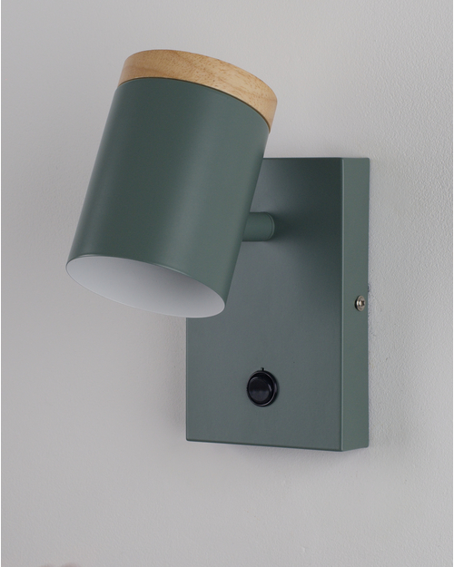 Светильник настенный Moderli V11294-1W Asheswood