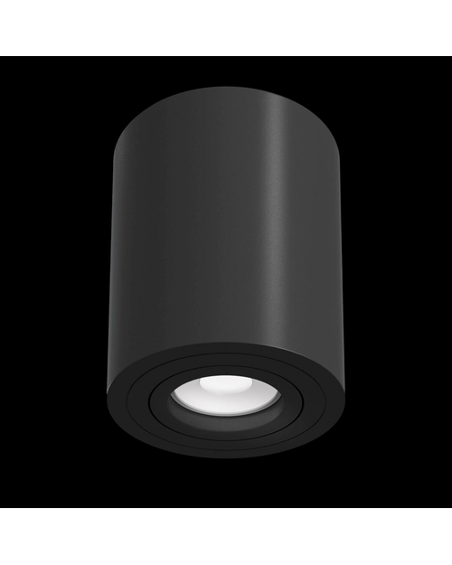 Потолочный светильник Maytoni C016CL-01B Alfa
