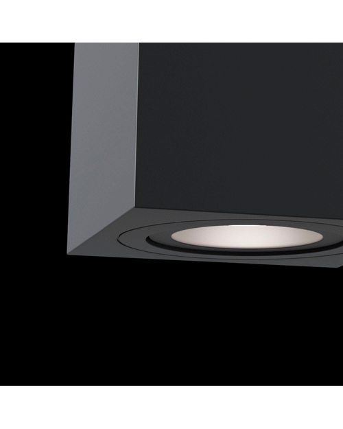 Потолочный светильник Maytoni C017CL-01B Alfa